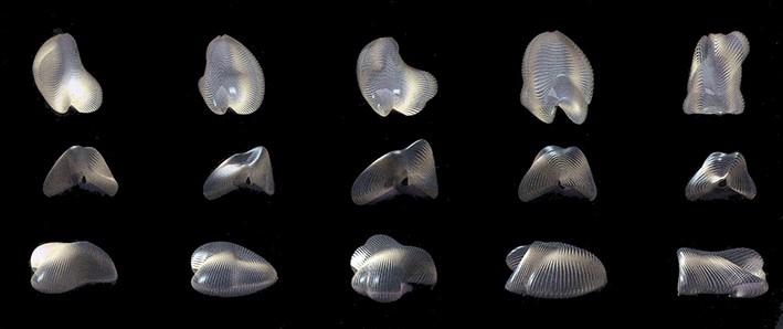 سبک فولدینگ | معماری بعد از مدرن | معماری فولدینگ